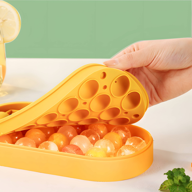 Tray With Lid and Case